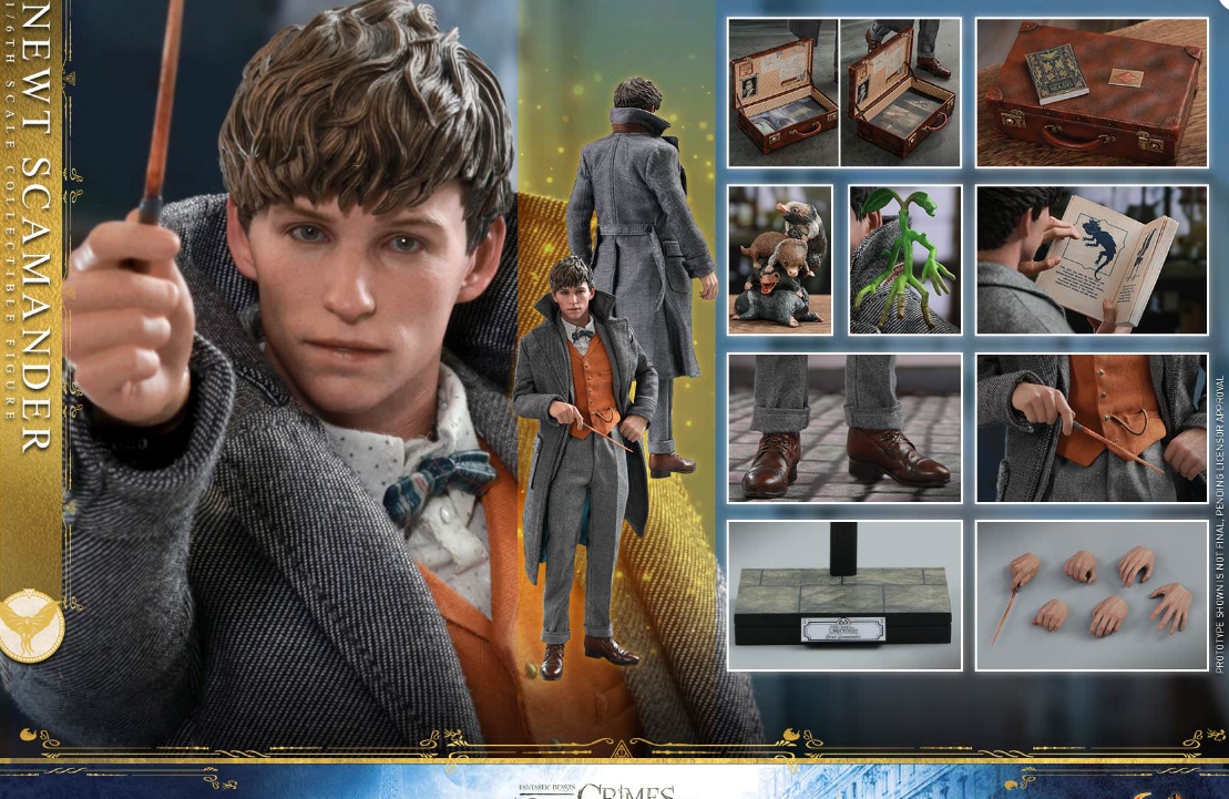 Hot Toys Newt Scamander Hot Toys Fantastic Beasts : TCOG MMS512 1/6 Scale Figure
