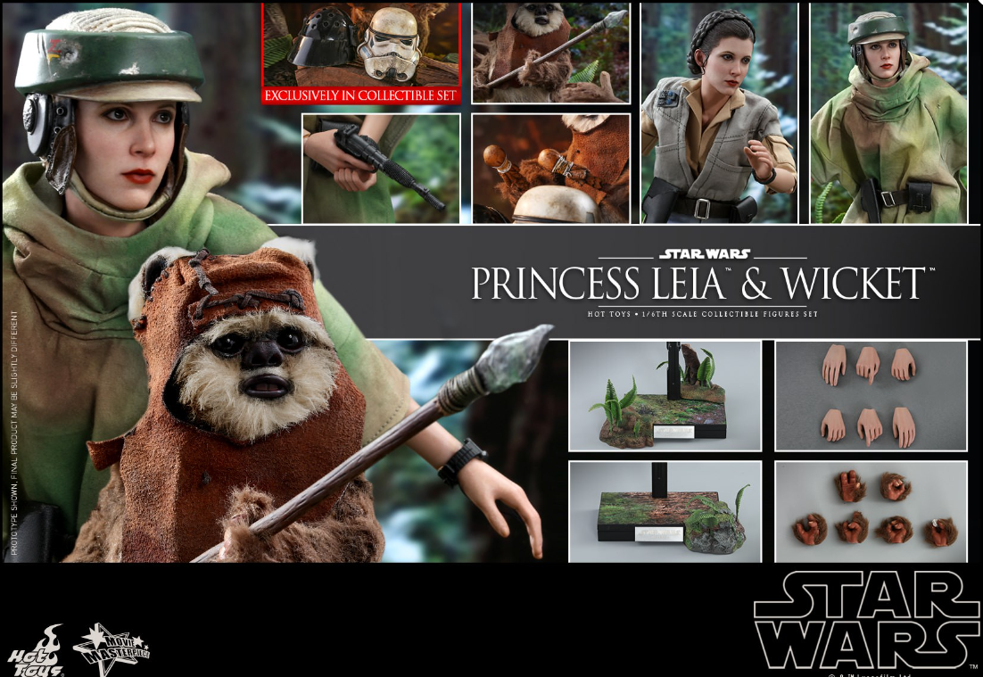 Hot Toys Princess Leia & Wicket Hot Toys Star Wars : ROTJ  MMS551 1/6 Scale Figure
