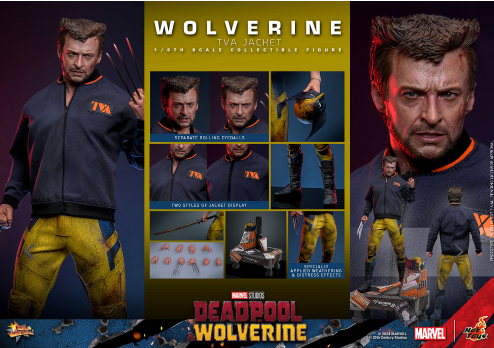 Hot Toys Wolverine (Jacket Version) Hot Toys Marvel Deadpool and Wolverine MMS756 1/6 Scale Figure