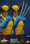 Hono Studio X-Men Wolverine Comic Version 1/6 Scale Collectible Figure HS01