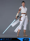 Hot Toys Star Wars-Star Wars The Rise of Skywalker Rey and DO MMS559 1/6 Scale Figure
