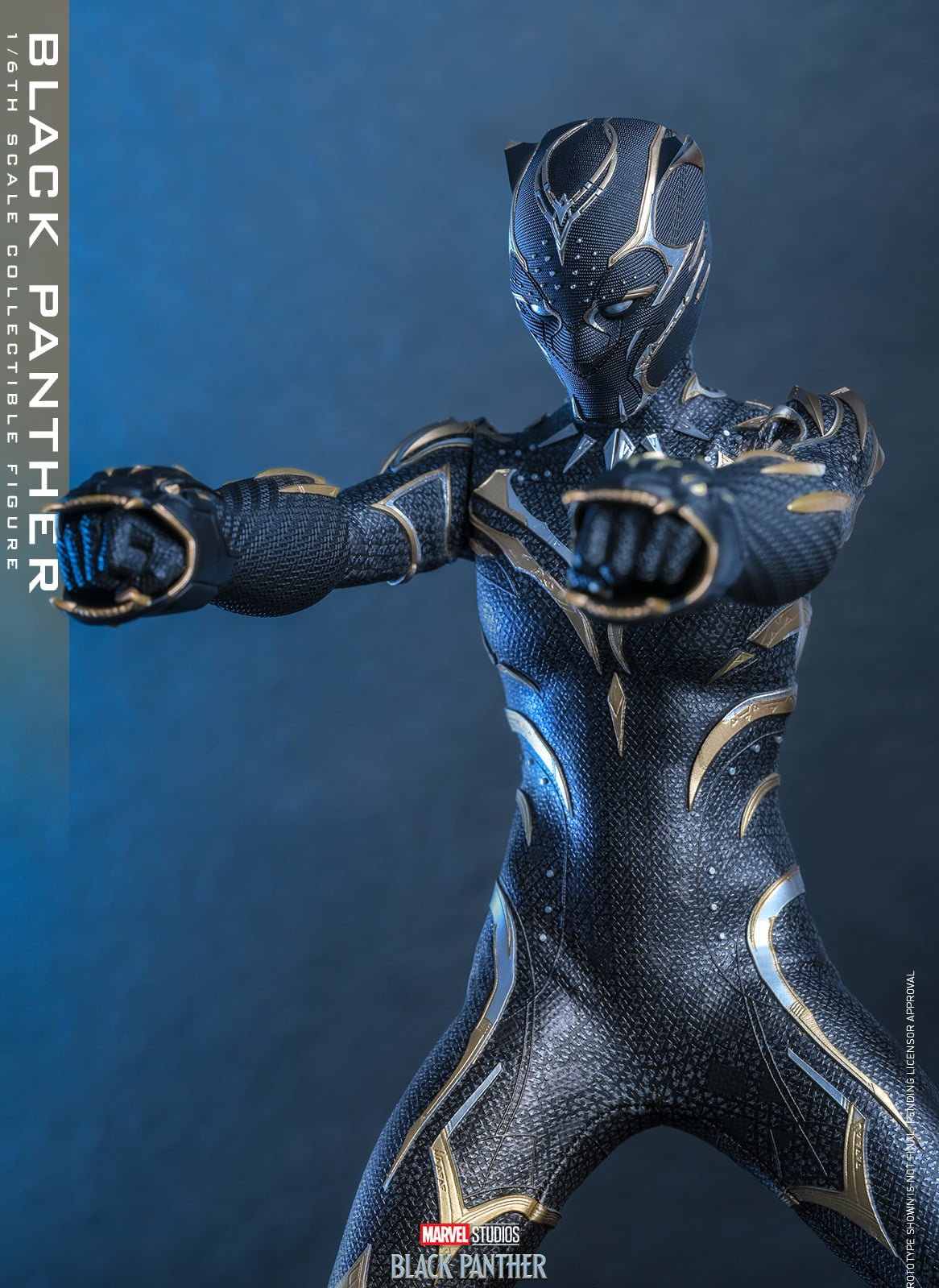 Hot Toys Black Panther-Black Panther Wakanda Forever Black Panther MMS675 1/6 Scale Figure