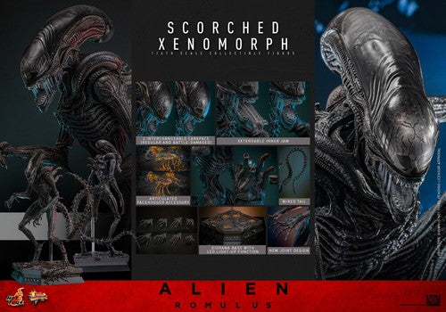 Hot Toys Scorched Xenomorph Hot Toys Alien: Romulus MMS784 1/6th Scale Collectible Figure